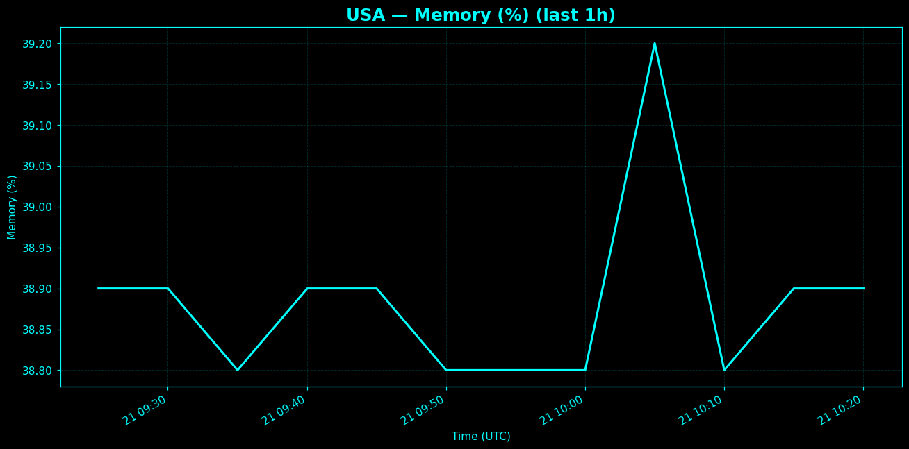 Chart representing RAM utilization on USA regions server in the past hour.